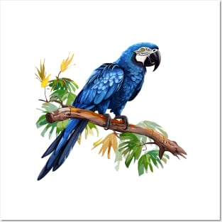 Hyacinth Macaw Posters and Art